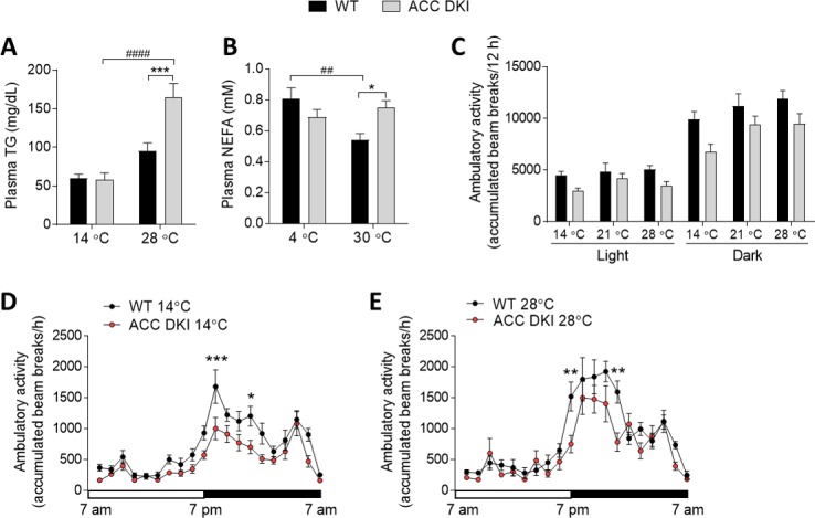 Figure 2—figure supplement 2.