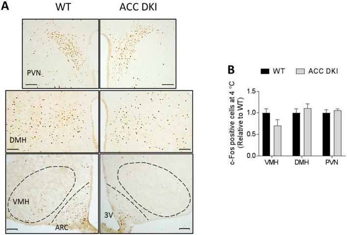 Figure 3—figure supplement 2.