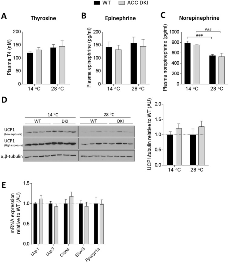 Figure 2—figure supplement 1.