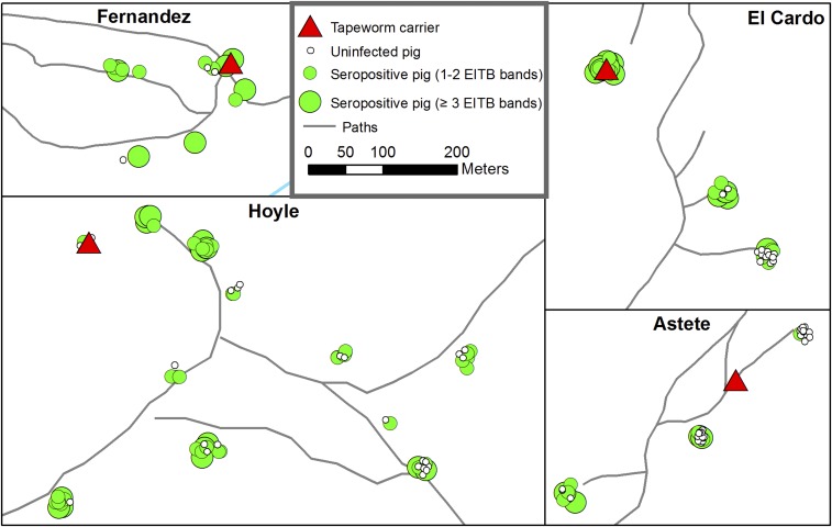 Figure 6.