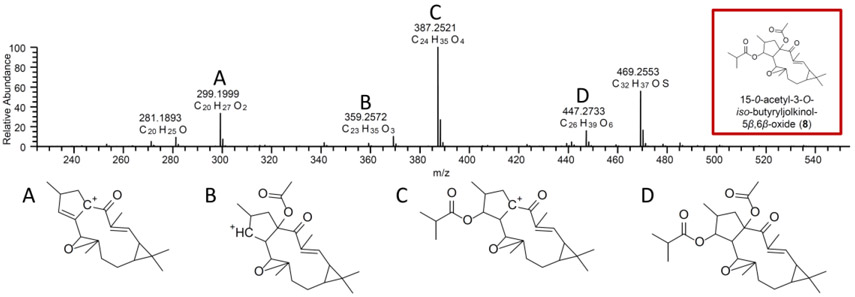 Fig.3.