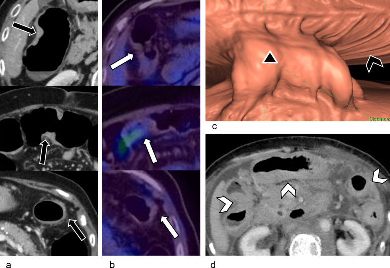 Fig. 6