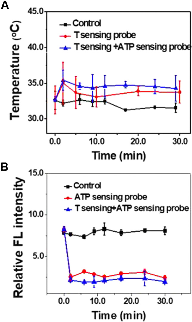 Fig. 4