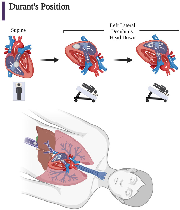 Figure 6