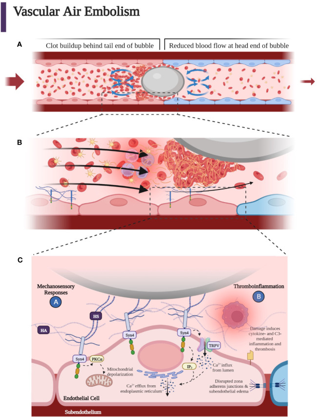 Figure 7