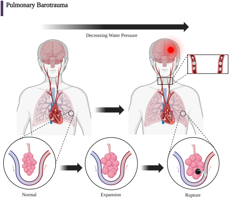 Figure 5