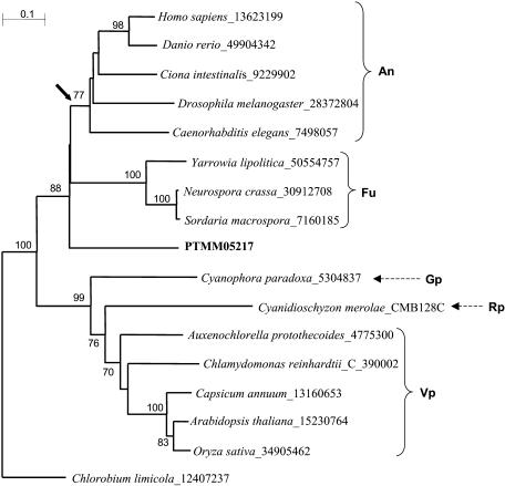 Figure 4.