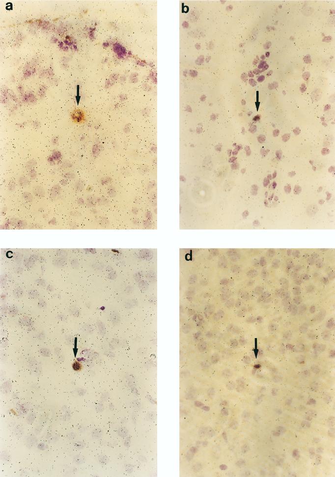 FIG. 7