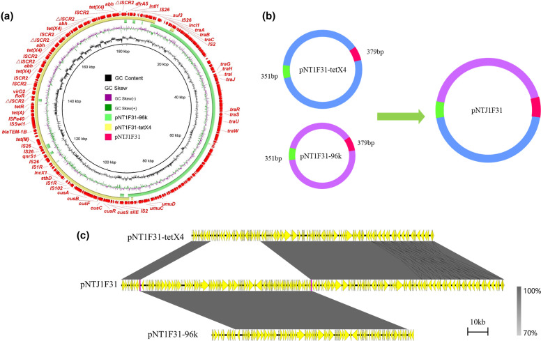 Fig. 4.