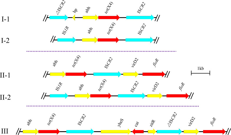 Fig. 7.