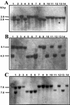 FIG. 5.