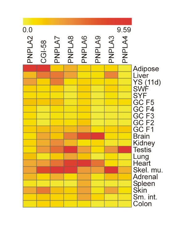 Figure 7