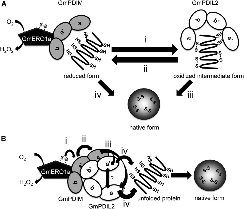 Figure 9.