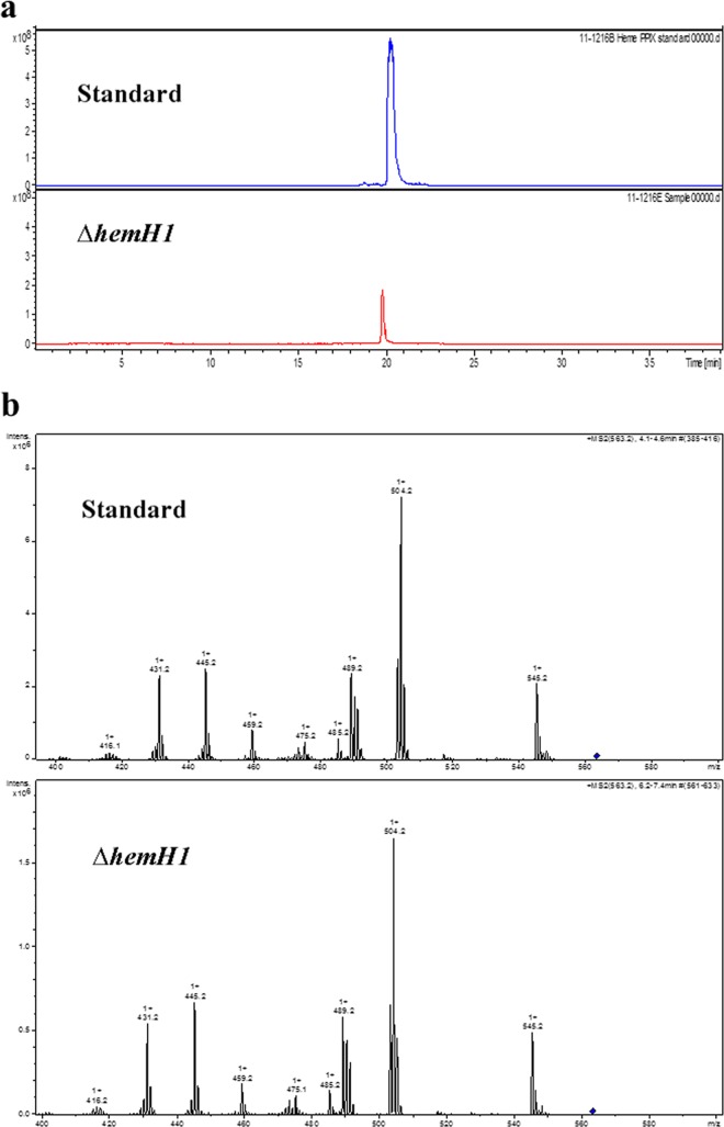 FIG 2