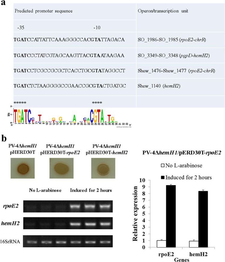 FIG 4