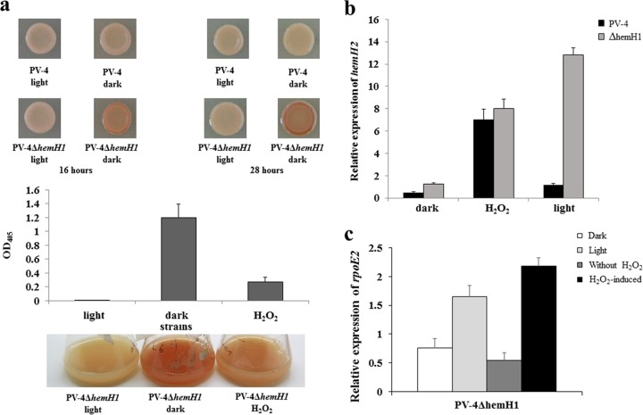 FIG 6