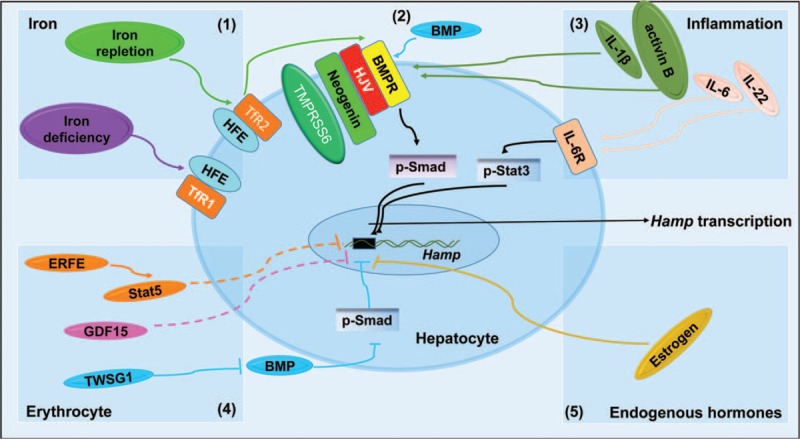 FIGURE 2