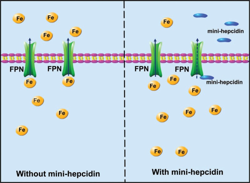 FIGURE 3