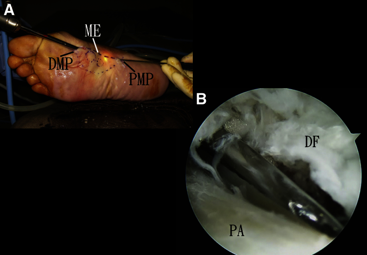 Fig 5