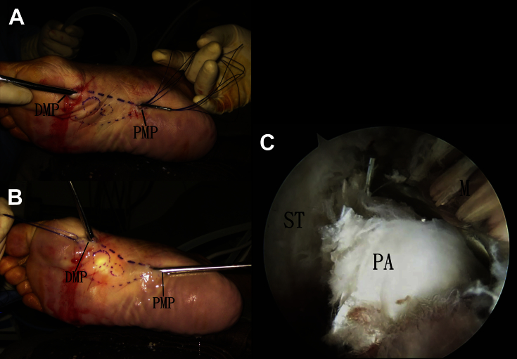 Fig 7