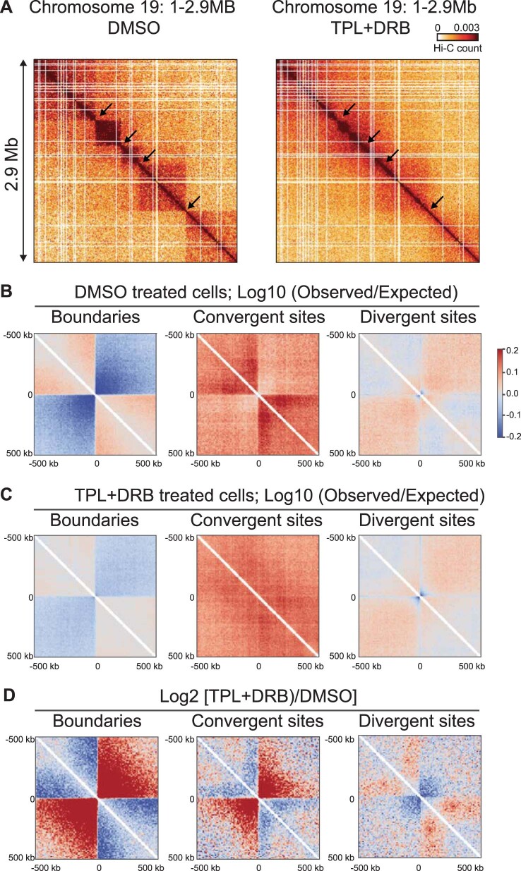 Extended Data Fig. 8