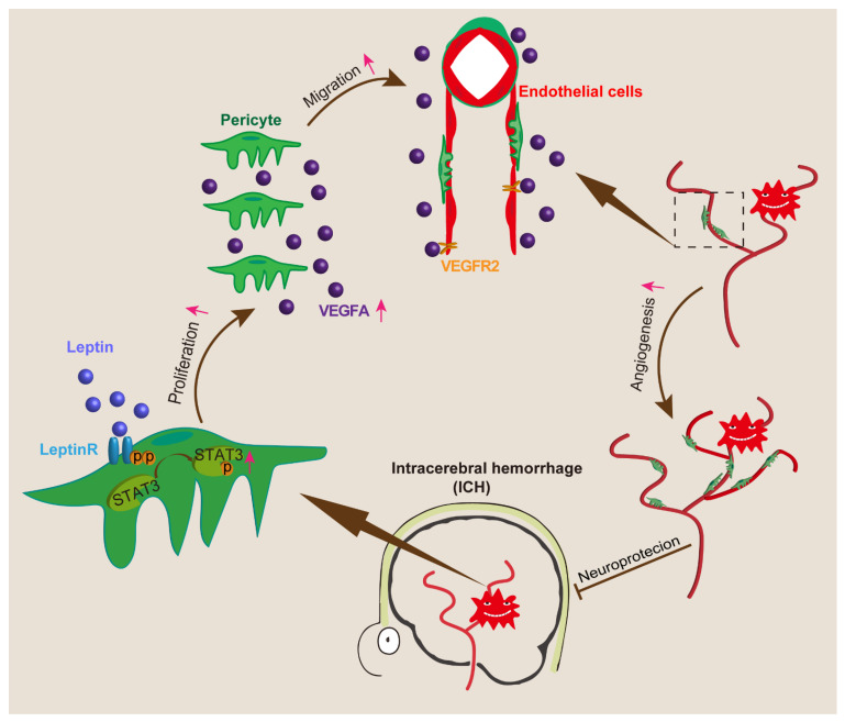 Figure 14