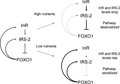 Figure 9.