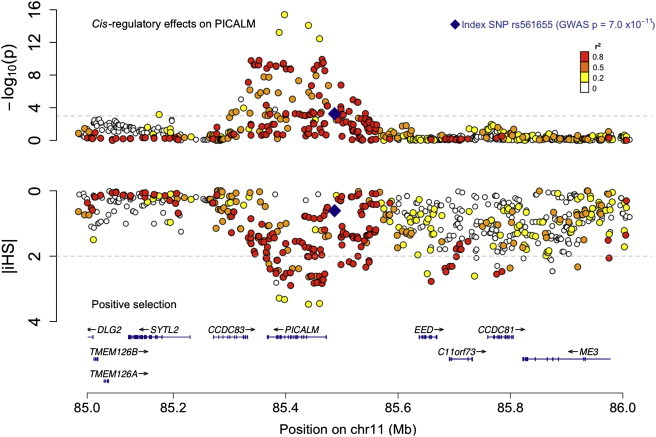 Figure 3