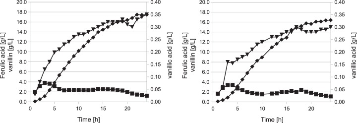 FIG 6