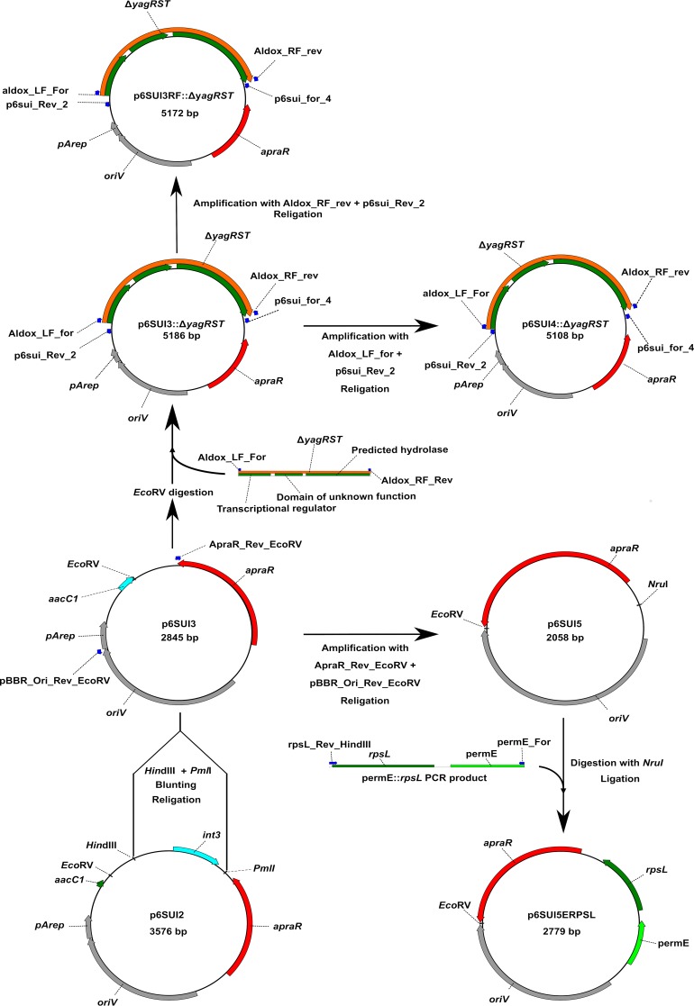 FIG 2