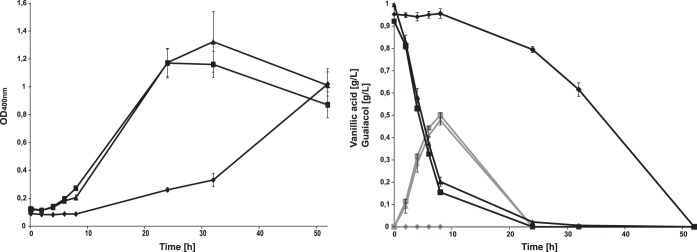 FIG 5