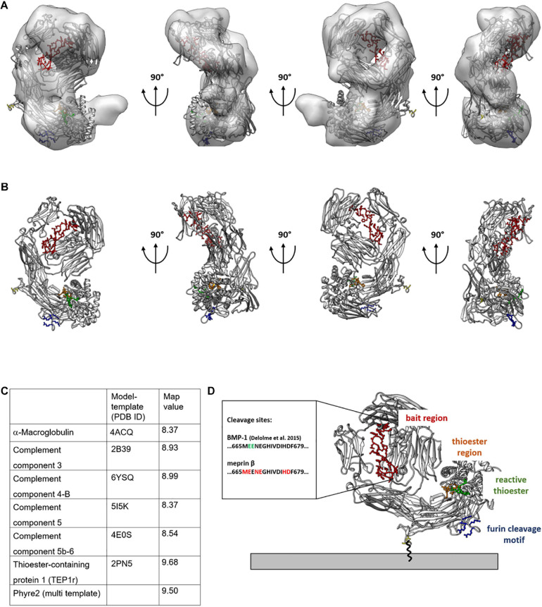 FIGURE 3