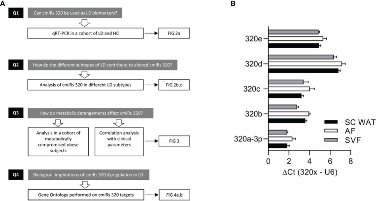 Figure 1