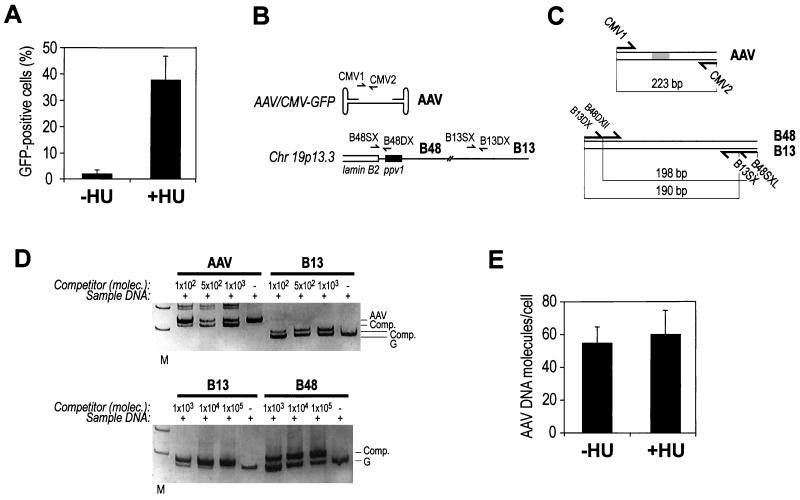 FIG. 1