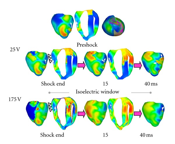 Figure 5