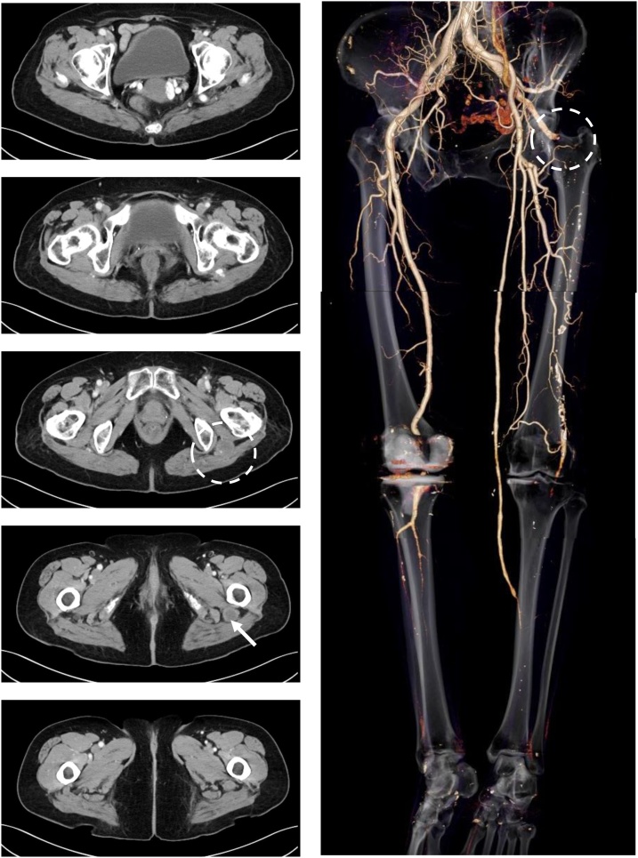 Fig. 3