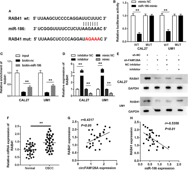 Figure 6