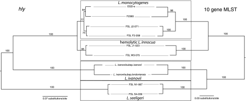 FIG. 5.