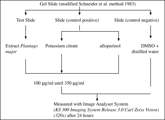 Figure 1: