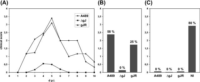 FIG. 8.