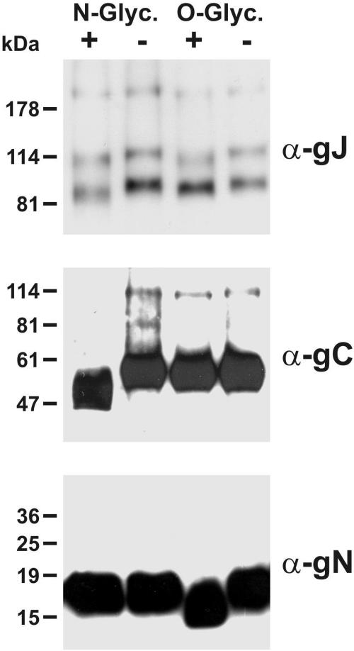 FIG. 5.