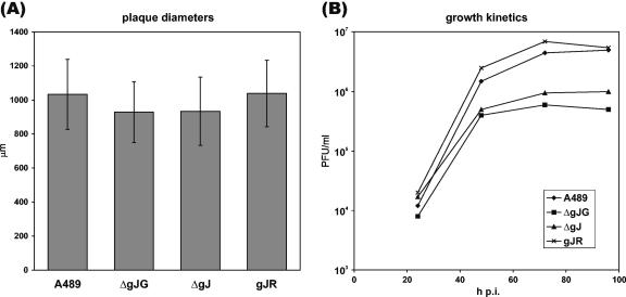 FIG. 7.