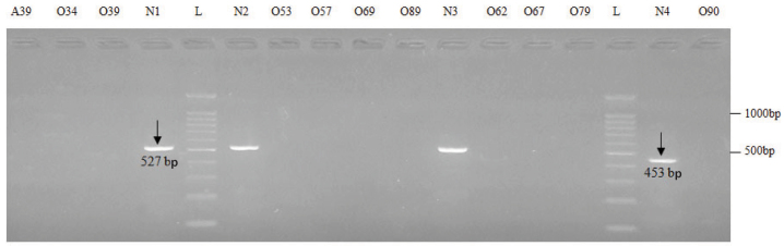 [Table/Fig-8]: