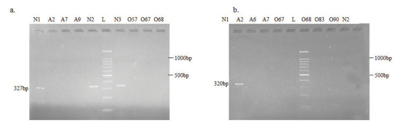 [Table/Fig-4]: