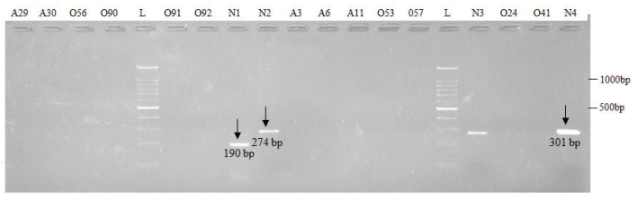 [Table/Fig-5]: