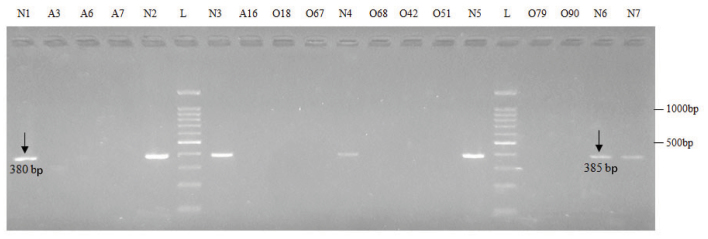 [Table/Fig-7]: