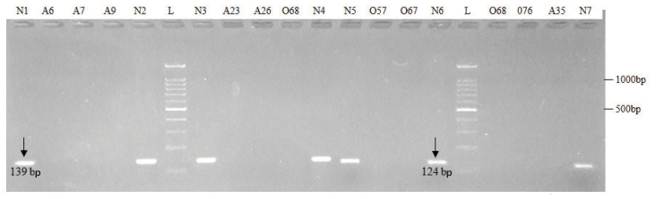 [Table/Fig-6]: