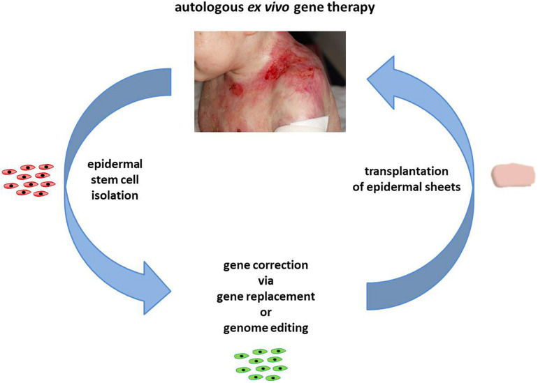 FIGURE 1