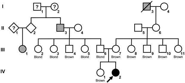 Figure  2