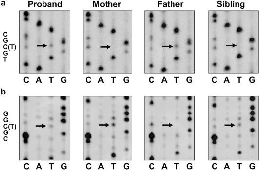 Figure  4